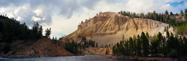A golden hillside above evergreen trees beneath clouds.